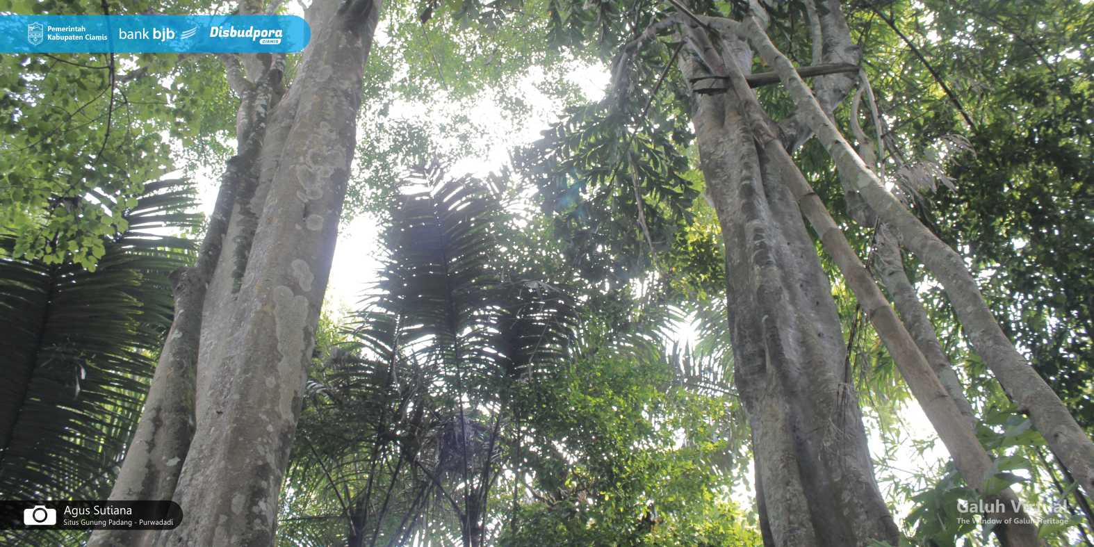 Situs Gunung Padang - Purwadadi